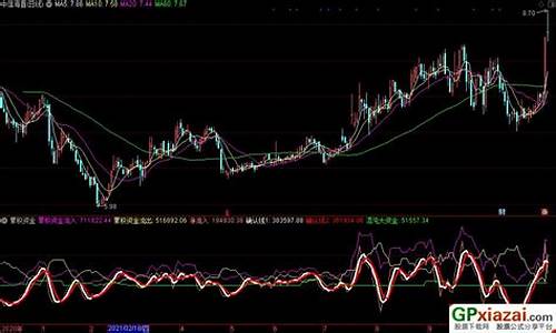 资金 源码_资金源码通达信收费指标源码